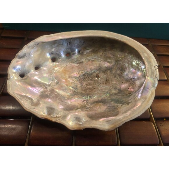 Red Abalone Shell Mother  Pearl Natural Seashell 7"x5"x1.5" - Picture 1 of 6